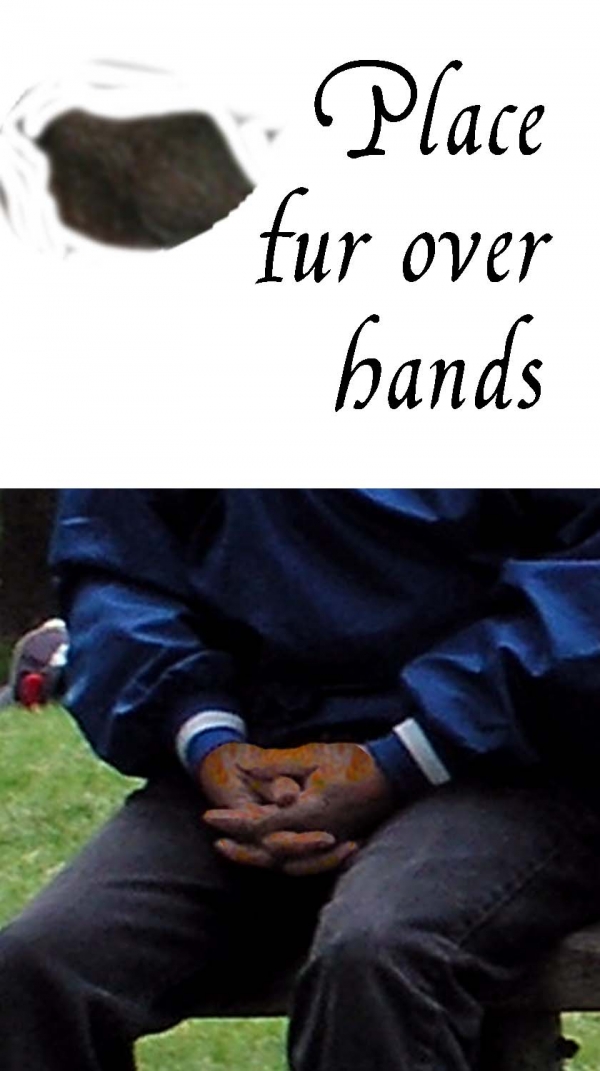 Creation of Jimmy Can't Play, Lost his Hat: Step 10